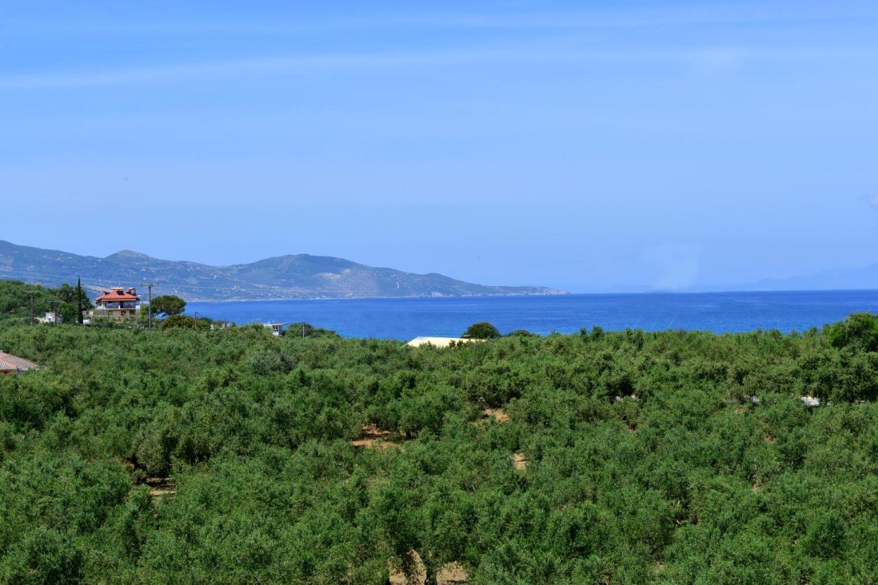 Asteria Apartments Zakynthos Town Exterior photo